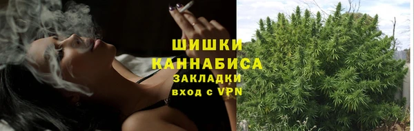 прущие крисы Касимов