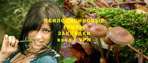 твердый Карталы